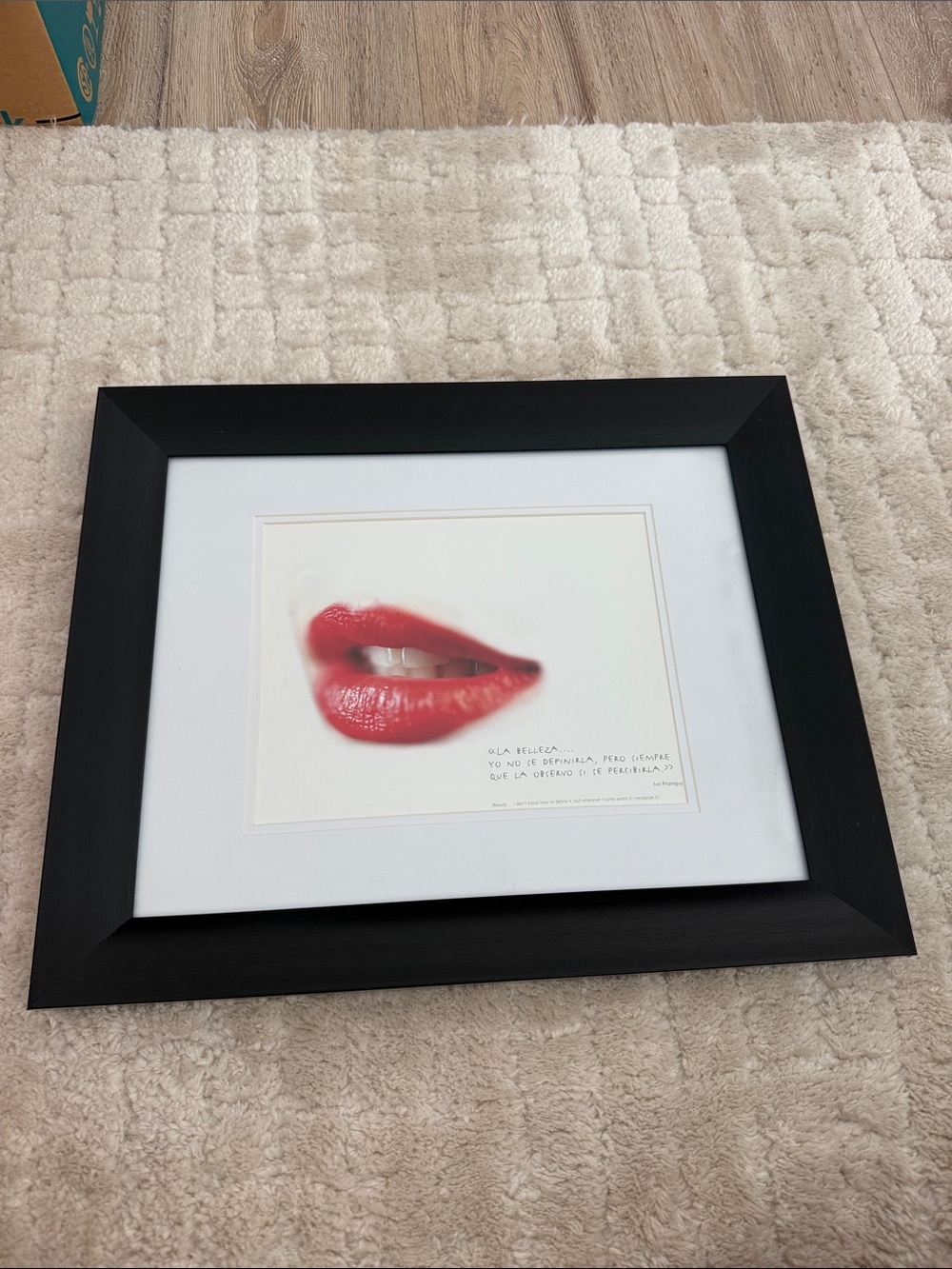 Wall Art - Framed Lip Art Print in Red - Home Art